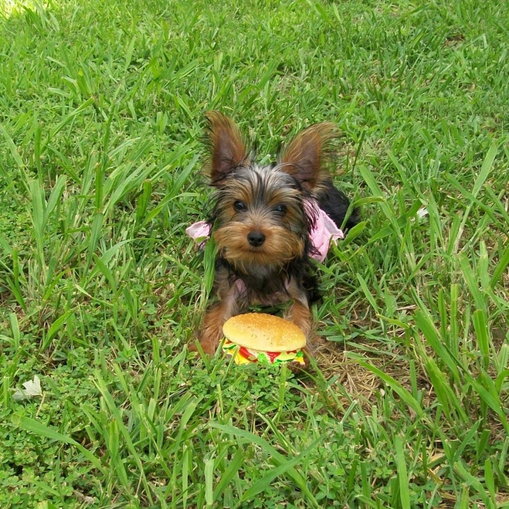 Meet your Posher, Stephanie